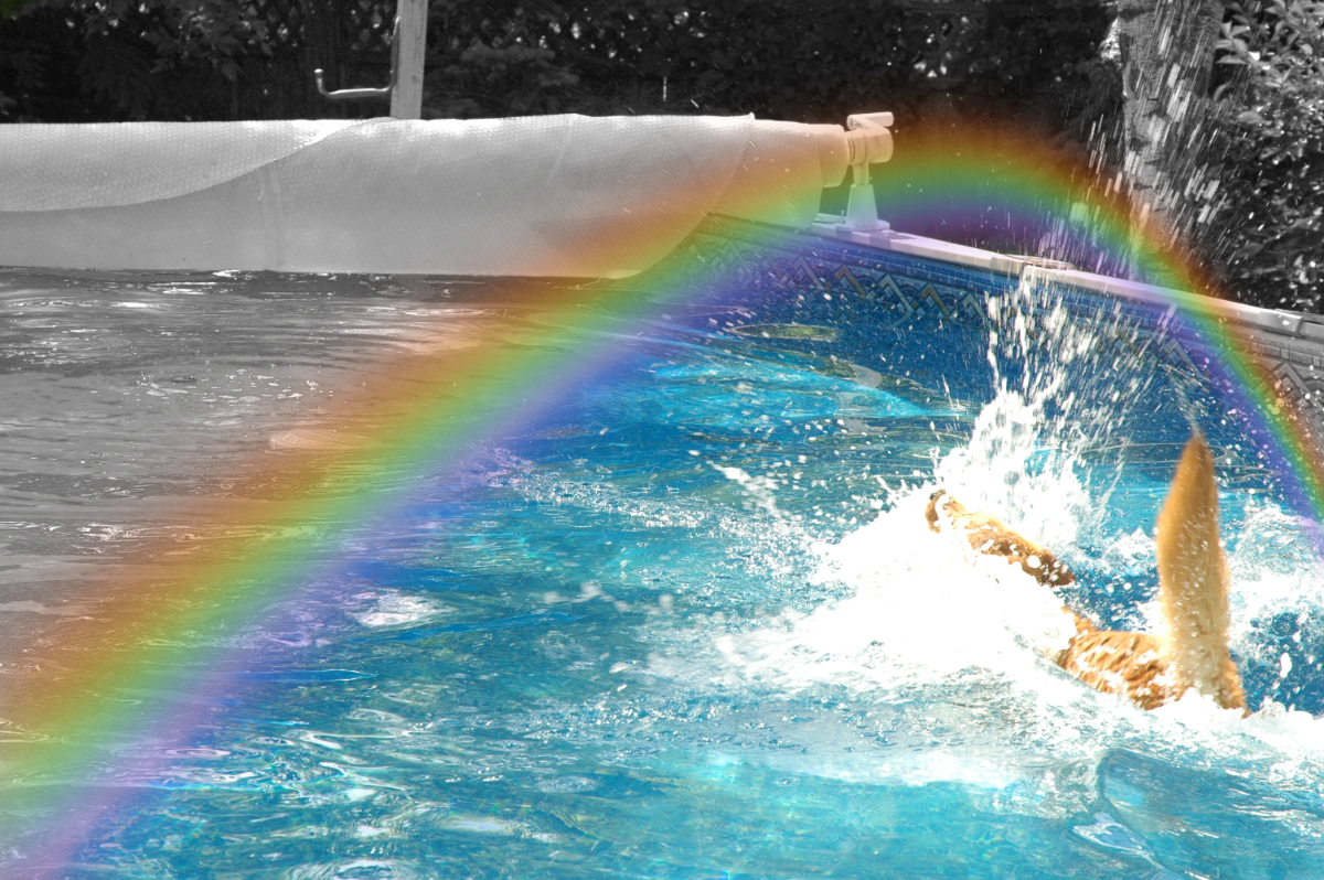 a picture of a dog landing in an above-ground pool. The pool/background is black and white on one side of a superimposed rainbow, and it is in colour on the other side that includes the dog splashing into the water.