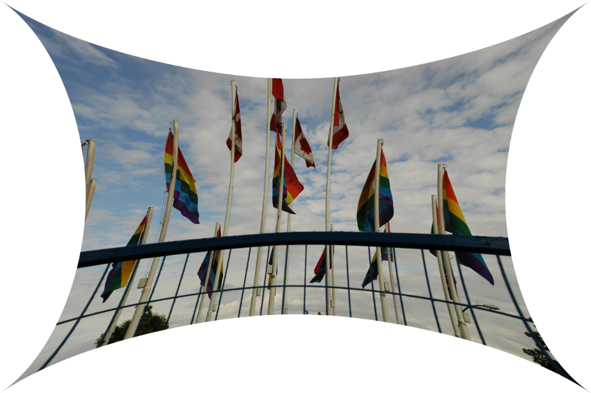 a bunch of Canadian and rainbow pride flags against a partly cloudy sky, pinched inwards so the edges are curved and perspective is skewed.