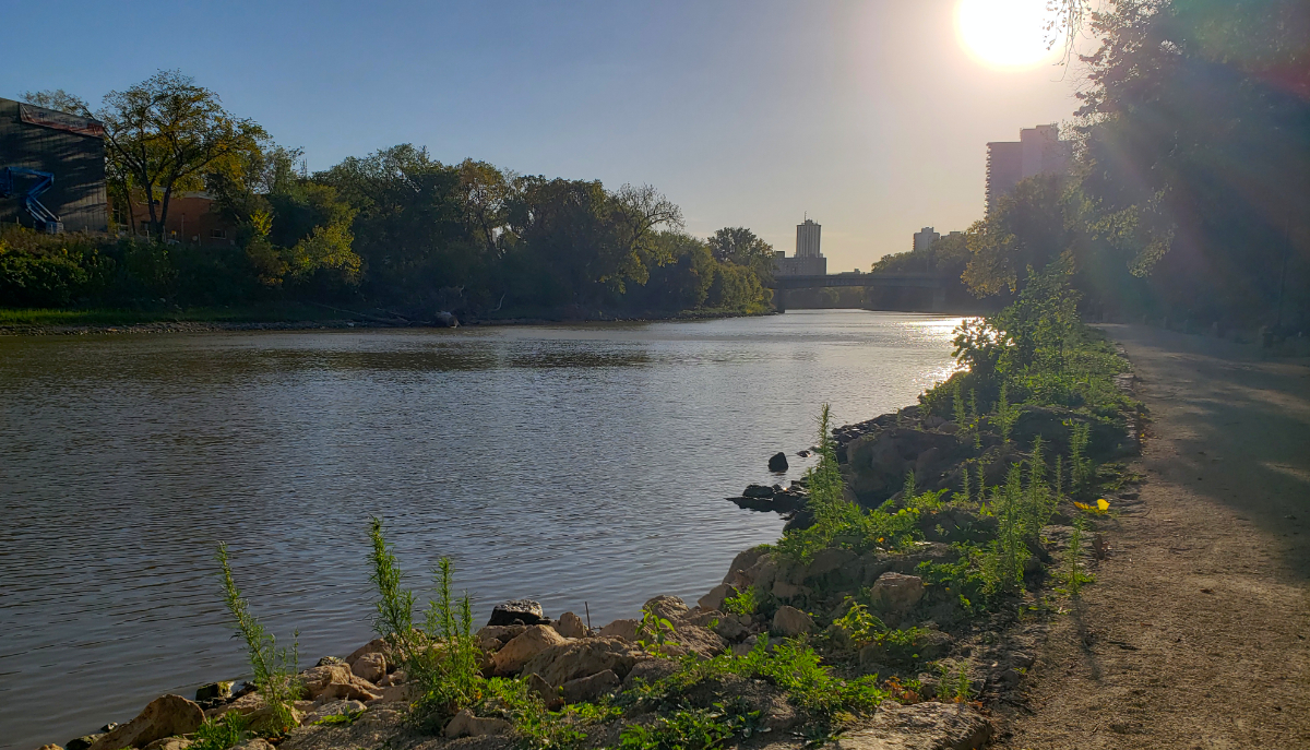 a brown and blue river with rocks and plants along the bank separating the water from a gravel path. on the other side of the river there are trees, and in the distance you can see a bridge and a high rise apartment building.