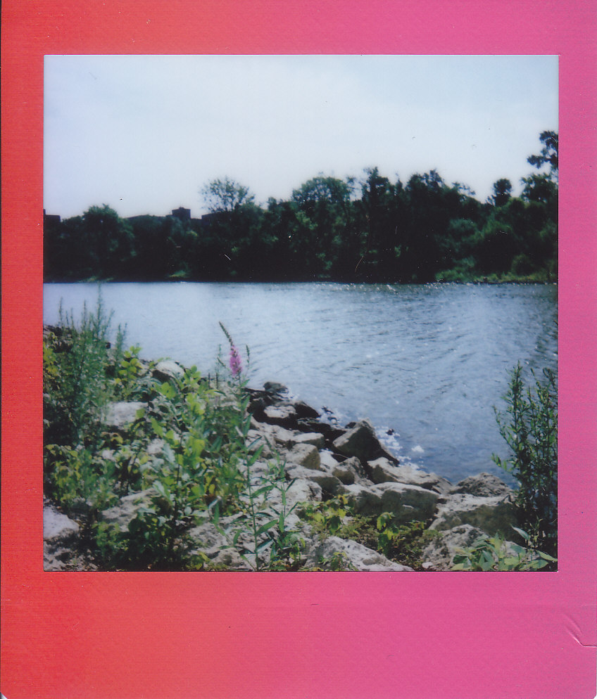 A scanned and somewhat blurry Instax/polaroid photo with a red and pink gradient border of a rocky and grassy riverbank with a purple flower sticking out
