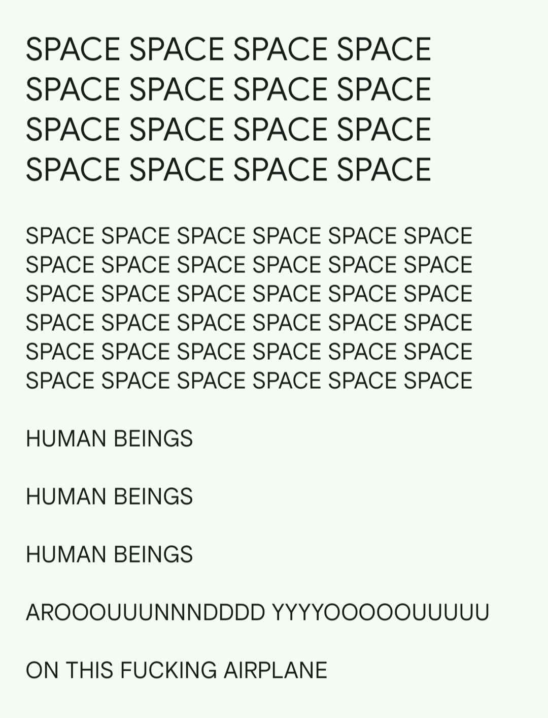 a screenshot of a note saying 'SPACE' over and over again, followed by 'HUMAN BEINGS' three times on different lines then 'AROOOUUUNNNDDD YYYOOOOOUUUU' followed by 'ON THIS FUCKING AIRPLANE'