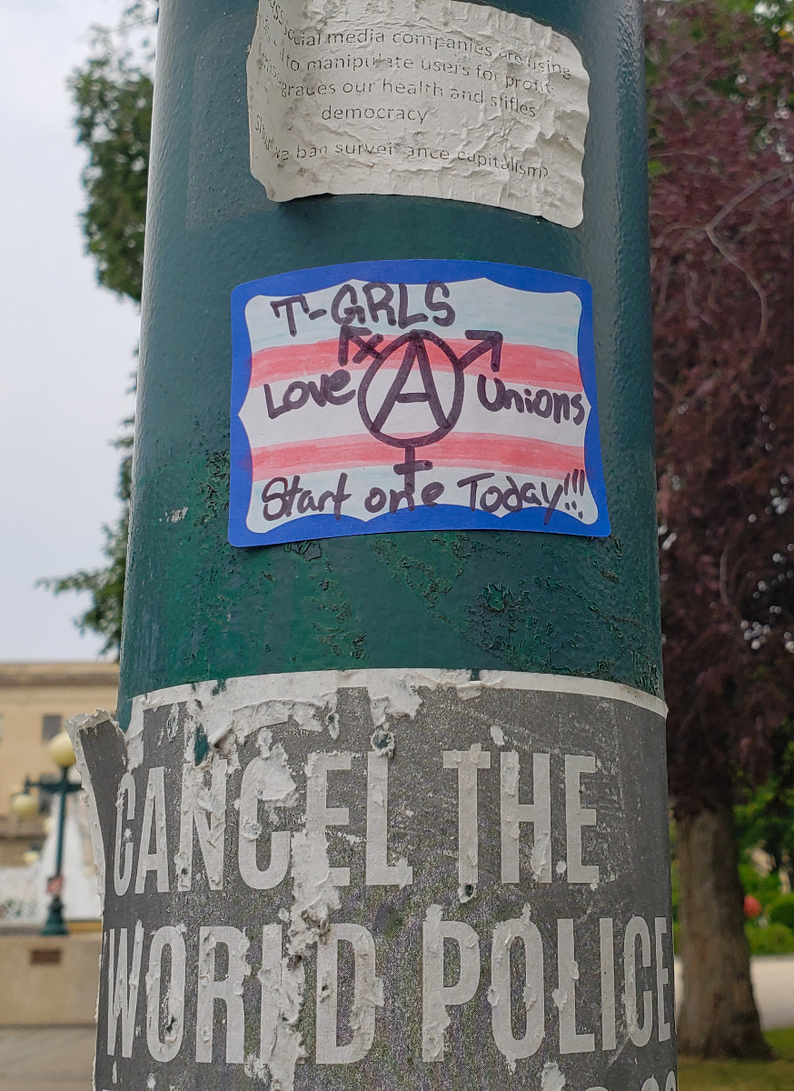 a green lamppost with two stickers and a poster on it. the top sticker has a faded message about surveillance capitalism. the second sticker has a blue border and is coloured in blue and pink markers to look like the trans pride flag, with a combination male/female/nonbinary symbol with an A in the circle, and the message 'T-GRLS Love Unions, Start One Today!!!' Below that is the top part of a weathered poster that says 'CANCEL THE WORLD POLICE' (by which they mean the World Police and Firefighter Games or whatever)