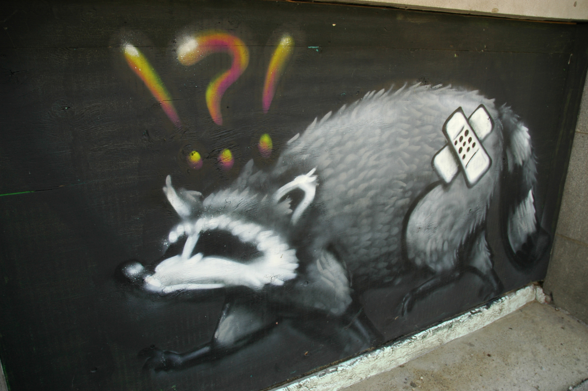 a black wall spray painted with a raccoon with two bandages on its body in an X shape with colourful '!?!' text above its head