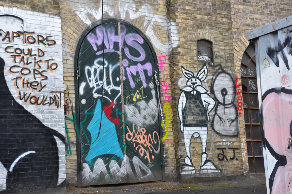 a sandy coloured stone wall with a black door with a round arch, covered in graffiti, including a message partly cut off that says 'if raptors could talk to cops they wouldn't', 'PIGG' written vertically in pink, and a white rabbit wearing a black tanktop.
