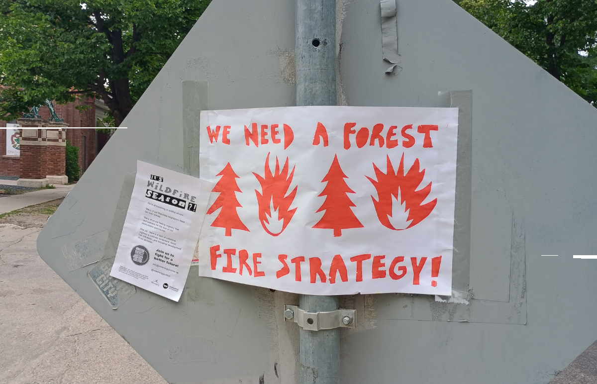 a white poster with red letters and shapes cut out saying 'we need a forest fire strategy' with large flames and trees